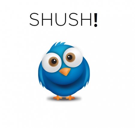 Блокировка твитов по ключевому слову или фразе – расширение shush!