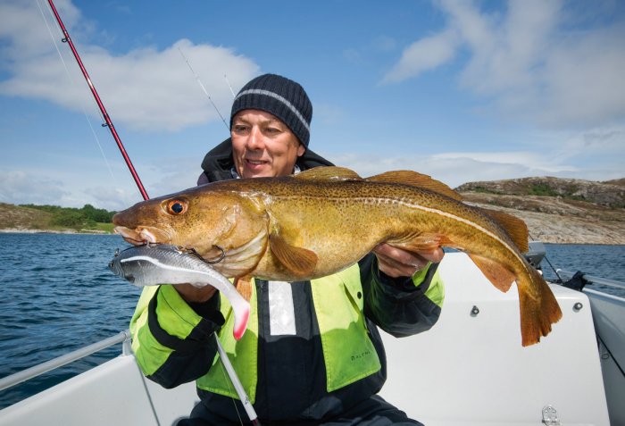Рыбалка в Норвегии: разнообразные возможности и тонны рыбы